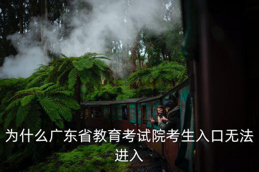 為什么廣東省教育考試院考生入口無法進入