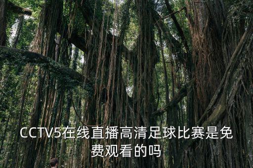 CCTV5在線直播高清足球比賽是免費觀看的嗎