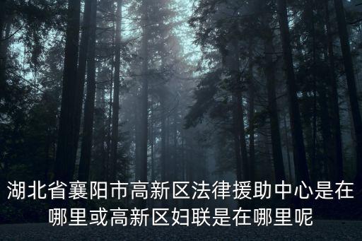湖北省襄陽(yáng)市高新區(qū)法律援助中心是在哪里或高新區(qū)婦聯(lián)是在哪里呢