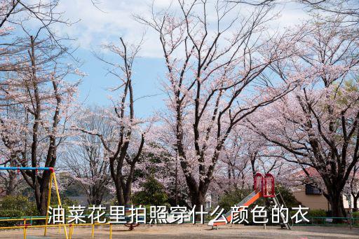 油菜花里拍照穿什么顏色的衣