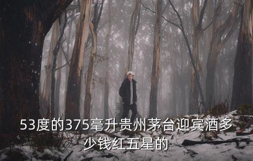 53度的375毫升貴州茅臺迎賓酒多少錢紅五星的