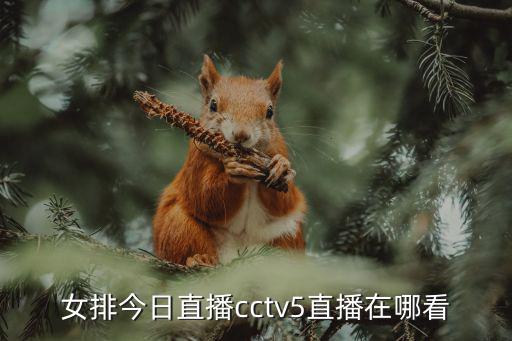 女排今日直播cctv5直播在哪看