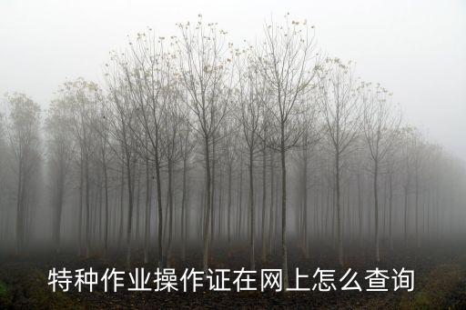 操作證查詢，特種作業操作證查詢