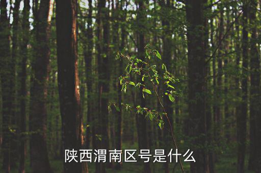 陜西渭南區號是什么