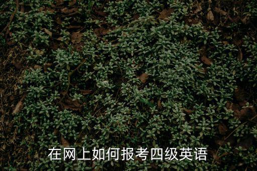 在網(wǎng)上如何報(bào)考四級英語