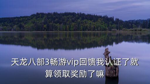 天龍八部3暢游vip回饋我認證了就算領取獎勵了嘛