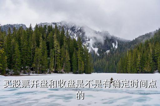 買股票開盤和收盤是不是有確定時間點的
