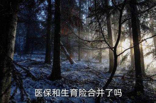 醫保和生育險合并了嗎