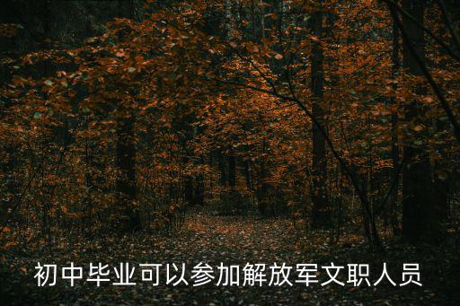 解放軍文職人員，軍隊文職人員都有哪些作用