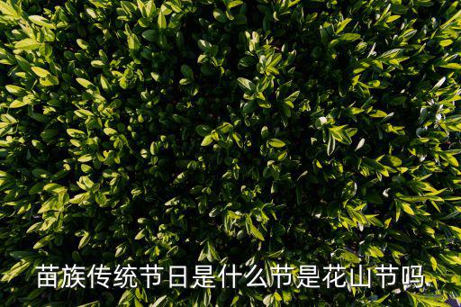 苗族的傳統節日是什么，苗族傳統節日是什么節是花山節嗎
