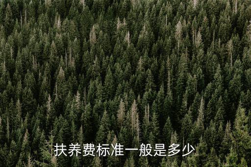 扶養費標準一般是多少