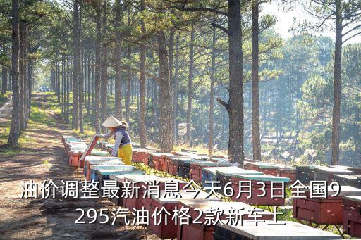 油價調整最新消息今天6月3日全國9295汽油價格2款新車上