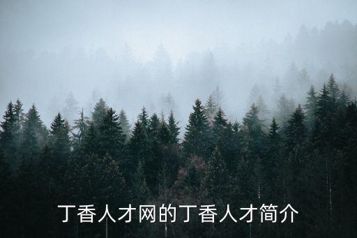丁香人才網的丁香人才簡介