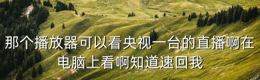 那個播放器可以看央視一臺的直播啊在電腦上看啊知道速回我