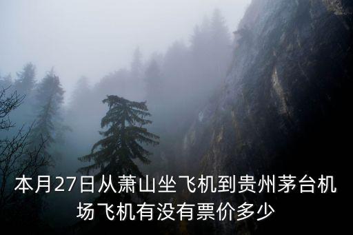 貴州茅臺機場，貴州有幾個飛機場哪個離茅臺鎮最近