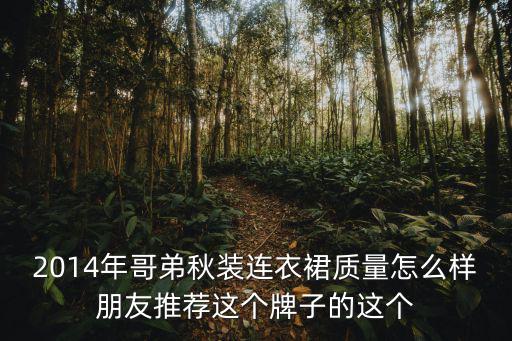 2014年哥弟秋裝連衣裙質量怎么樣朋友推薦這個牌子的這個