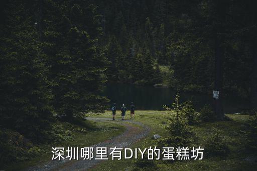 深圳哪里有DIY的蛋糕坊