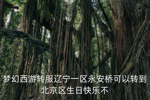 永安橋，夢幻西游轉(zhuǎn)服遼寧一區(qū)永安橋可以轉(zhuǎn)到北京區(qū)生日快樂不