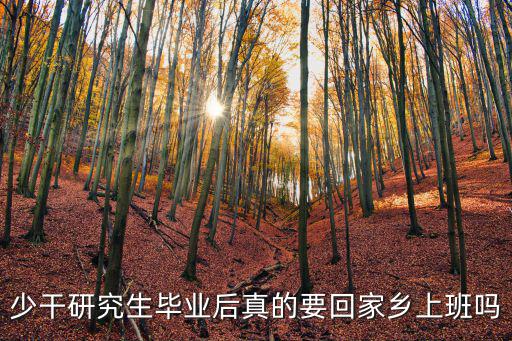 少干研究生畢業(yè)后真的要回家鄉(xiāng)上班嗎