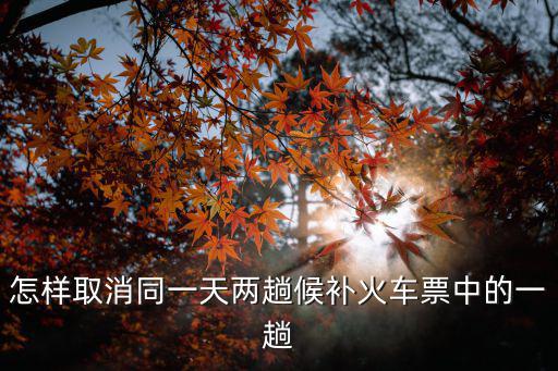 怎樣取消同一天兩趟候補火車票中的一趟