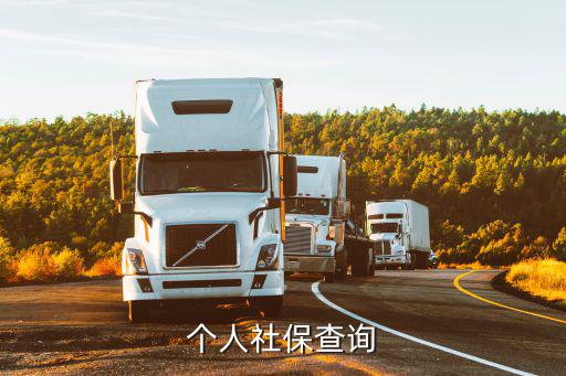個人社保查詢