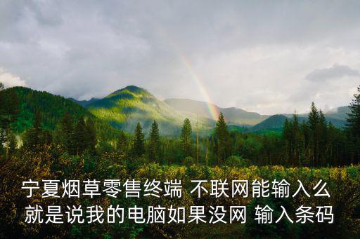 寧夏煙草零售終端 不聯網能輸入么 就是說我的電腦如果沒網 輸入條碼