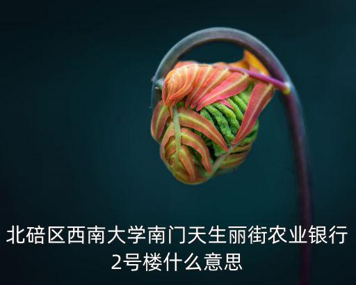 站街寶，北碚區西南大學南門天生麗街農業銀行2號樓什么意思