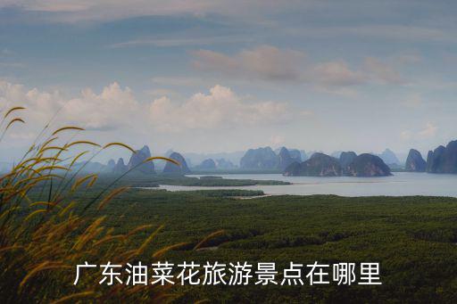 廣東油菜花旅游景點在哪里