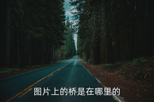 圖片上的橋是在哪里的