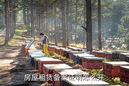 房屋租賃備案證明，房屋租賃登記備案證明