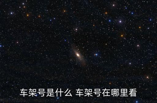 車架號在哪里，車架號是什么 車架號在哪里看