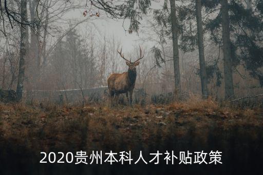 貴州人才，2020貴州本科人才補貼政策