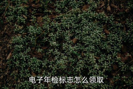 電子年檢標志怎么領取