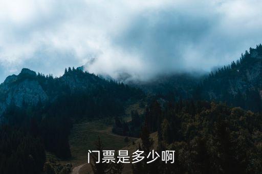 門票費，門票是多少啊