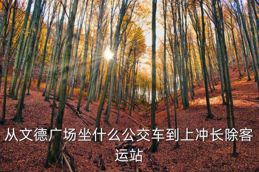 從文德廣場坐什么公交車到上沖長除客運站