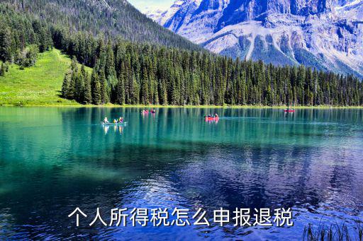 個人所得稅怎么申報退稅