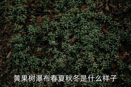 黃果樹瀑布春夏秋冬是什么樣子