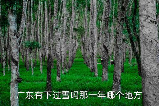 廣東有下過雪嗎那一年哪個地方