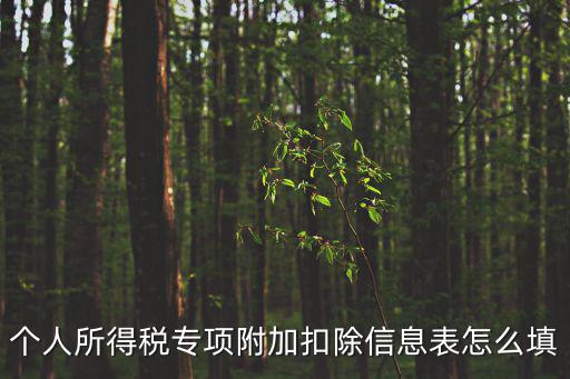 個人所得稅專項附加扣除信息表怎么填