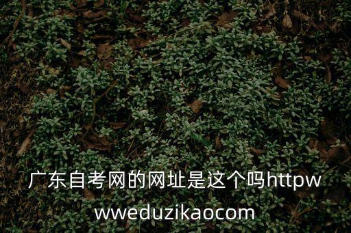 廣東自考網(wǎng)的網(wǎng)址是這個(gè)嗎httpwwweduzikaocom