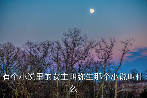 有個小說里的女主叫彌生那個小說叫什么
