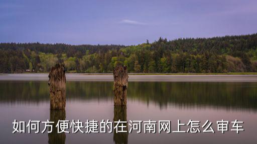 如何方便快捷的在河南網上怎么審車