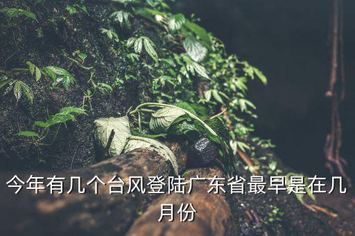 今年有幾個臺風登陸廣東省最早是在幾月份