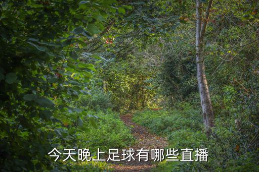 今天晚上足球有哪些直播
