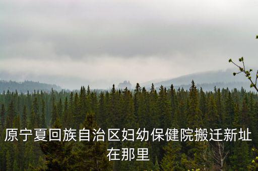 原寧夏回族自治區婦幼保健院搬遷新址在那里