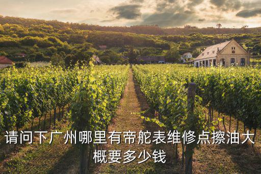 請問下廣州哪里有帝舵表維修點擦油大概要多少錢