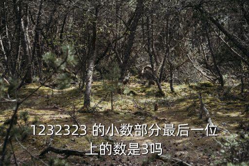 1232323 的小數部分最后一位上的數是3嗎