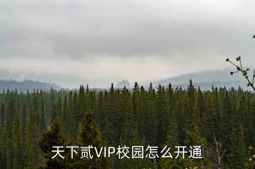 天下貳VIP校園怎么開通