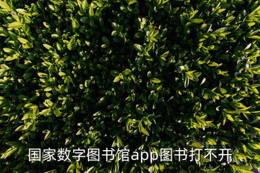 國家數字圖書館app圖書打不開