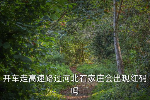 開車走高速路過河北石家莊會出現紅碼嗎